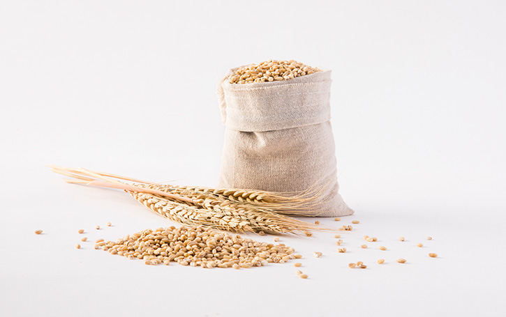 小麦淀粉的RVA应用方案